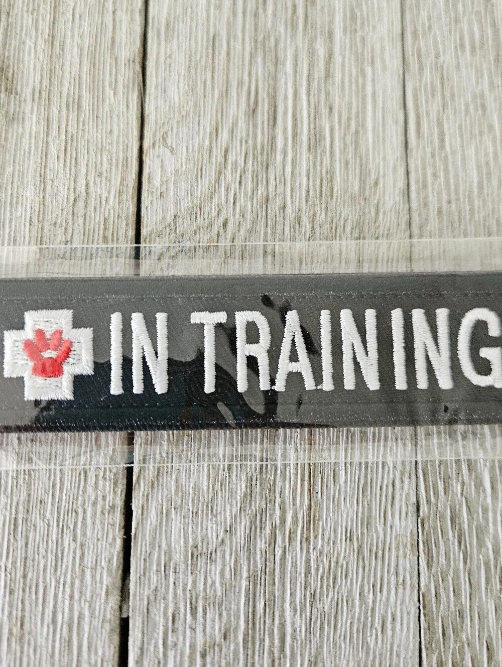 N/A service dog